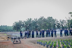 Untitled-339