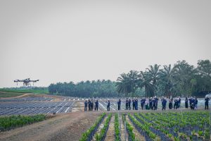 Untitled-344