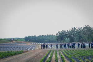 Untitled-346