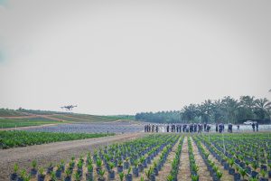 Untitled-349