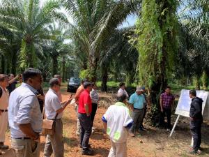 11 Oktober 2019 (Jumaat) -- Lawatan Perwakilan MOPNA ke United Plantations Berhad di Teluk Intan, Perak