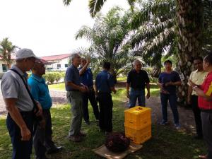 WhatsApp Image 2019-07-31 at 2.29.57 PM