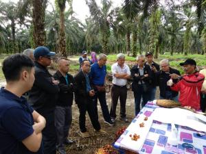 WhatsApp Image 2019-07-31 at 2.29.58 PM (2)